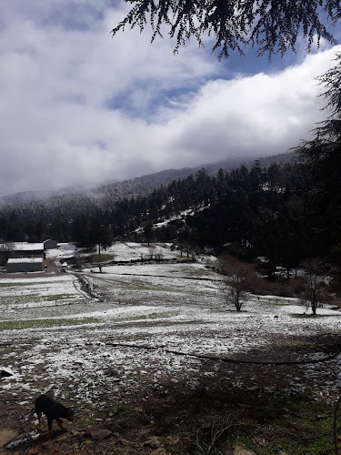 Derde Oosterparkstraat 73, 1091 JV Amsterdam, Nederland