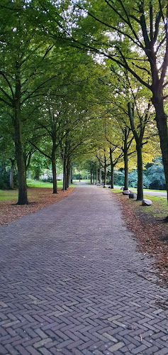 Comments and reviews of Parkheuvel