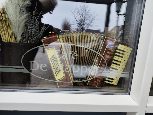 Comentarii opinii despre De Stapper