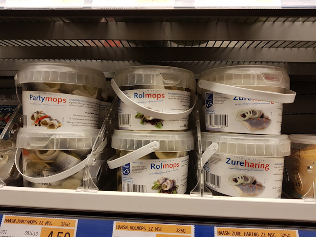 Comentarii opinii despre Neptunus BV