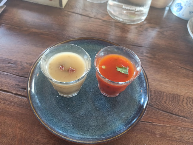 Comentarii opinii despre Het Venster Vinkel