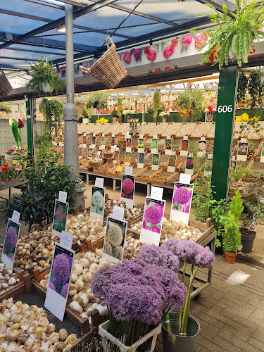 Comentarii opinii despre Stins Flowermarket