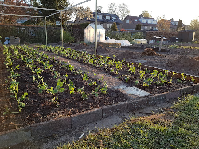 Opinii despre Bakkie-Biergarten în Woudenberg - Horeca