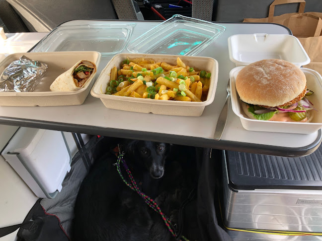 De vega koerier - Castricum