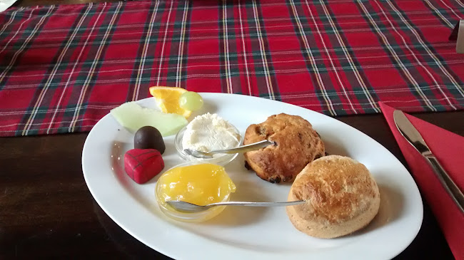 Comentarii opinii despre Tearose