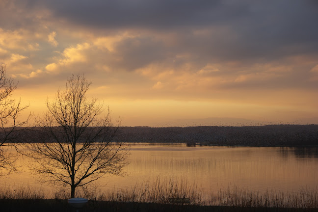 Comentarii opinii despre Ruumzicht