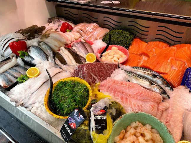 Comentarii opinii despre Vishandel Molenaar & Zoon