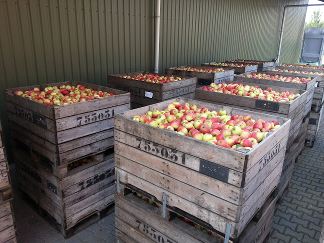 V.O.F. C. Stevens - Horeca