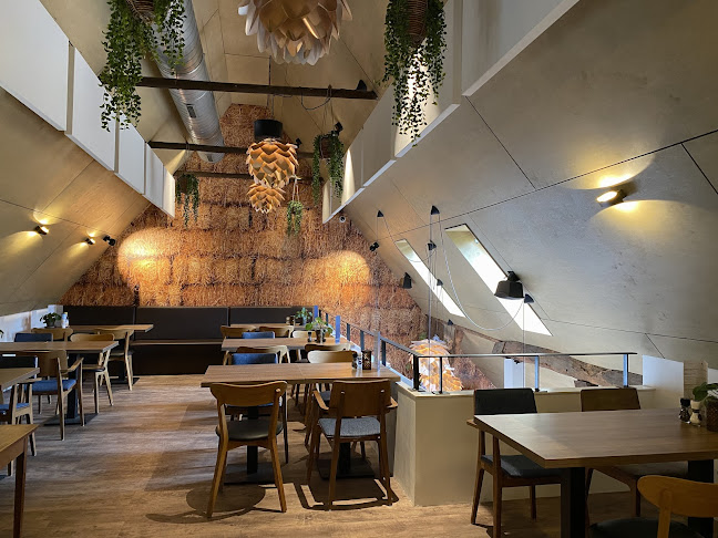 De Zaagkoele - Dwingeloo