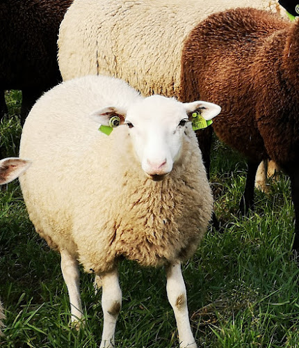 Biljartvereniging Het Vaartje Open Times