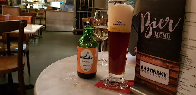 Comentarii opinii despre Khotinsky