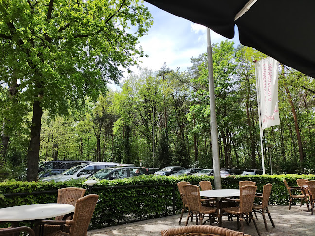 Comentarii opinii despre Pannekoekenhuys De Pimpernel