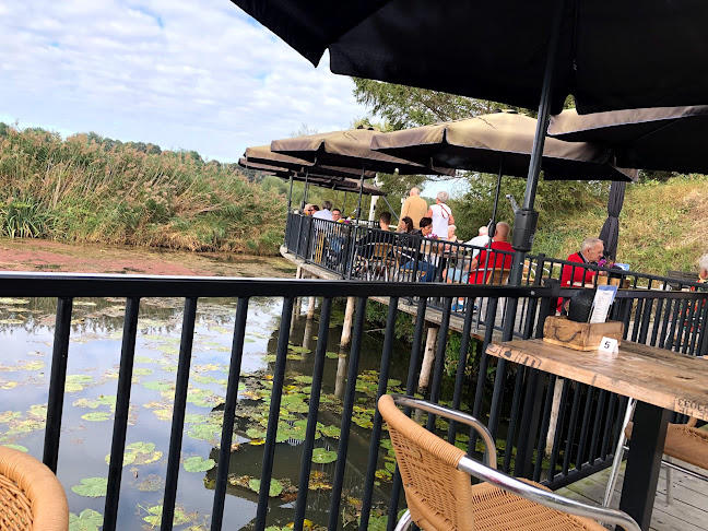 Opinii despre Theetuin de lage brug în 's Gravenmoer - Horeca