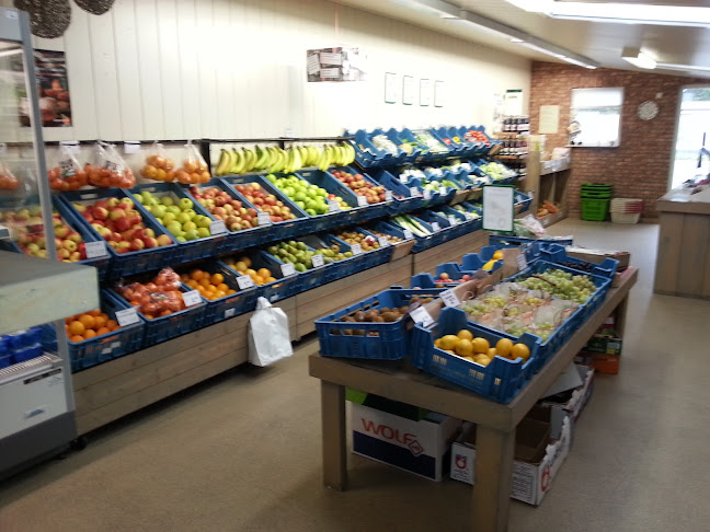 Opinii despre V.O.F. C. Stevens în Sambeek - Horeca