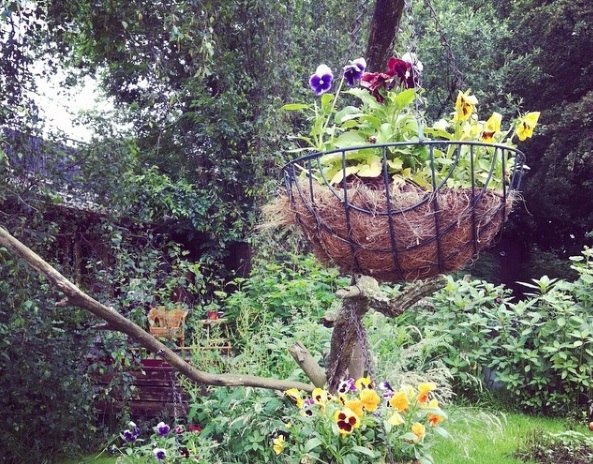 Theetuin 't Groene Broek Open Times