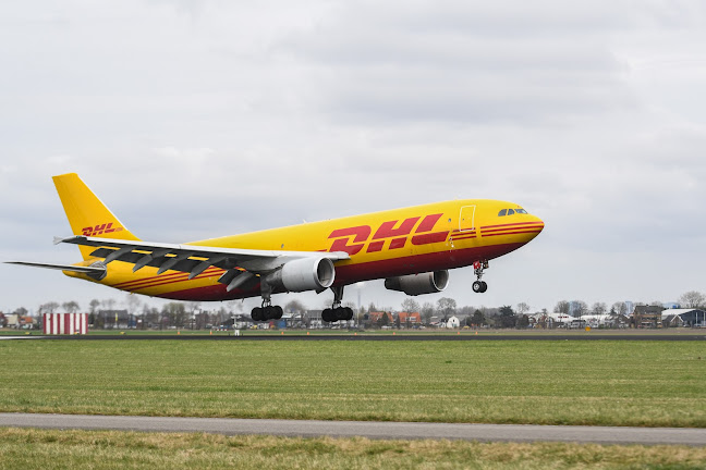 Comentarii opinii despre Brandmeesters