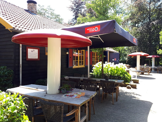 Het Grote Kabouterbos