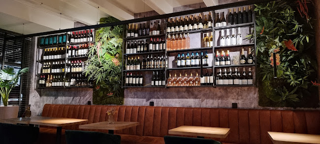 Proto - Restaurant Phone number