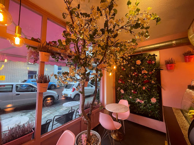 Selena 's - Spijkenisse