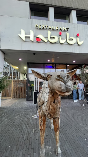 Comments and reviews of Habibi