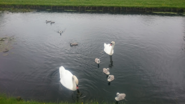 Het Snackhuisje C.O.L horeca VOF Phone number