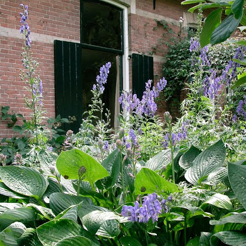 theetuin ik & mijn moeder - Horeca