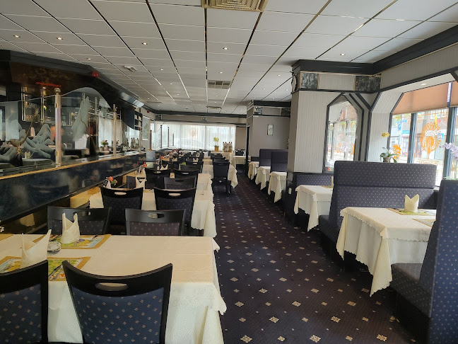 Golden Peacock - Heerlen