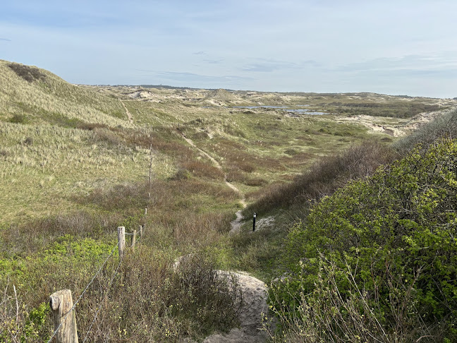 Opinii despre Diner în Bergen - Horeca
