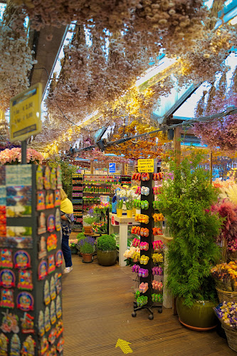 Singel 630, 1017 AZ Amsterdam