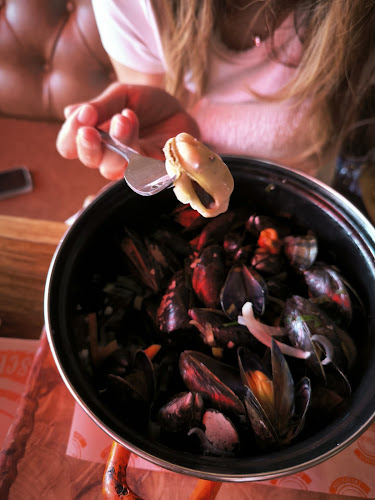 Reviews of Dok 28 in Den Haag - Horeca