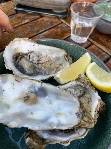 Comentarii opinii despre De Botanie