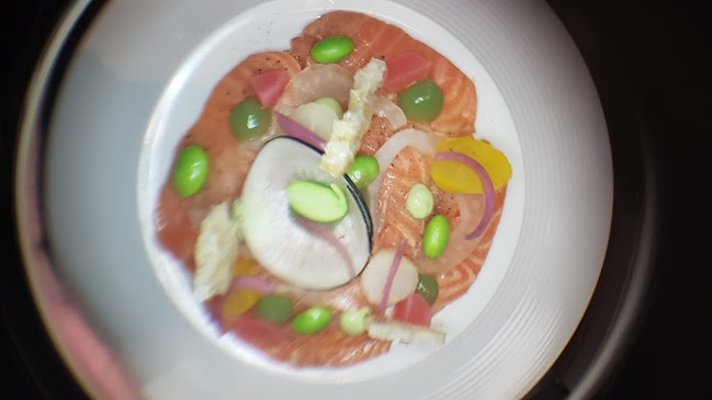 Hoff'nar - Dordrecht