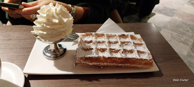 De IJsvogel Open Times