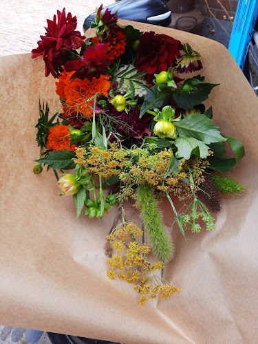 Pluktuin Stoutenburg - Stoutenburg