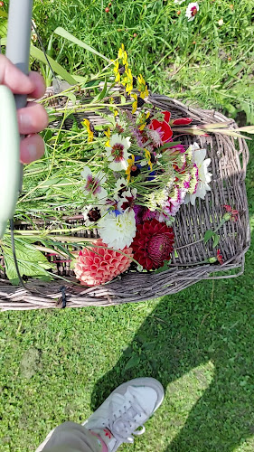 Opinii despre Pluktuin Stoutenburg în Stoutenburg - Horeca