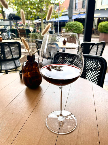 Comentarii opinii despre Vine