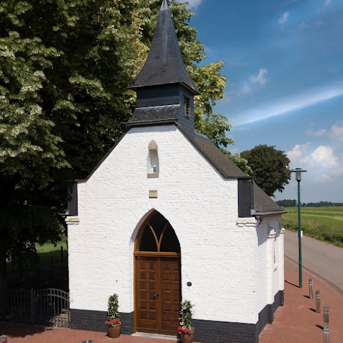 Comentarii opinii despre "Op de Boom" Café Cafetaria