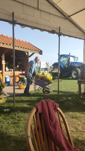 Comentarii opinii despre Beleef Het En Eet Het