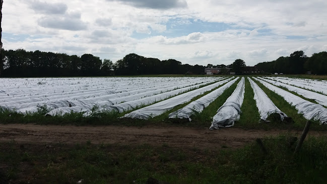 Comments and reviews of Asperge- en fruittuinderij Van der Kolk