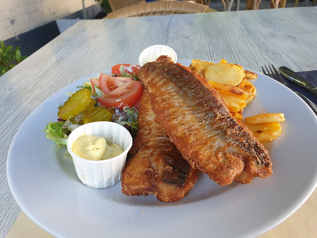 Opinii despre Bestaat niet meer în Erp - Horeca