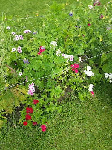 Comentarii opinii despre Pluktuin Stoutenburg