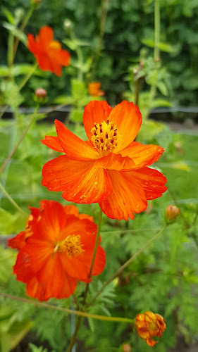 Pluktuin Stoutenburg