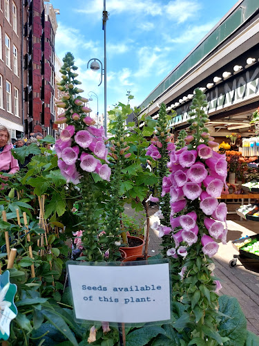 Comentarii opinii despre Stins Flowermarket