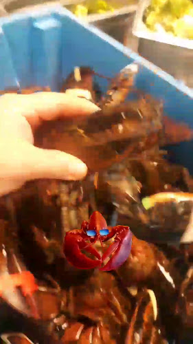 Reviews of Restaurant Villani 🇮🇹 in Den Haag - Horeca