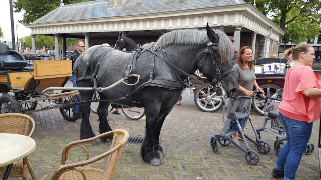 Westhavenplaats 37, 3131 BT Vlaardingen