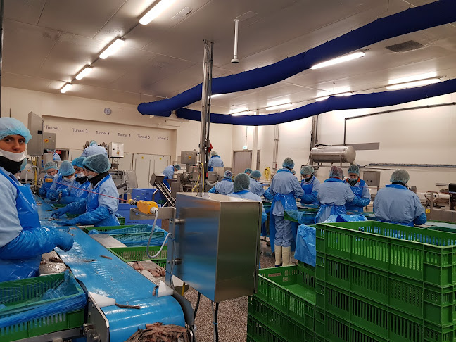 Opinii despre Neptunus BV în Enschede - Horeca