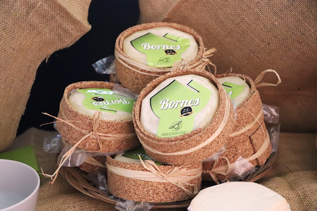 Taste Douro - Den Haag