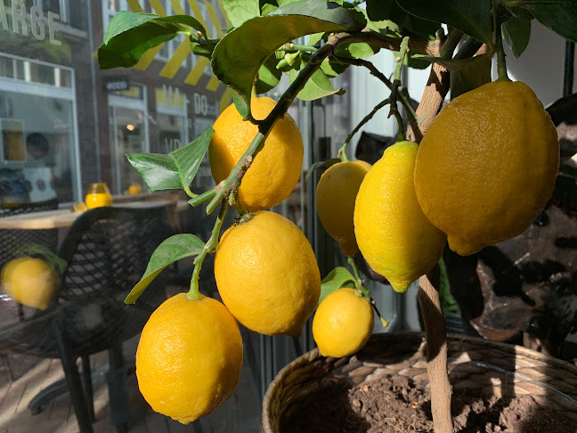 Ruiterskwartier 135a, 8911 BS Leeuwarden