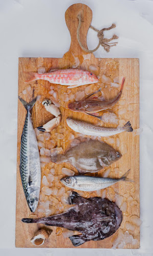 Seafood Centre - Den Haag