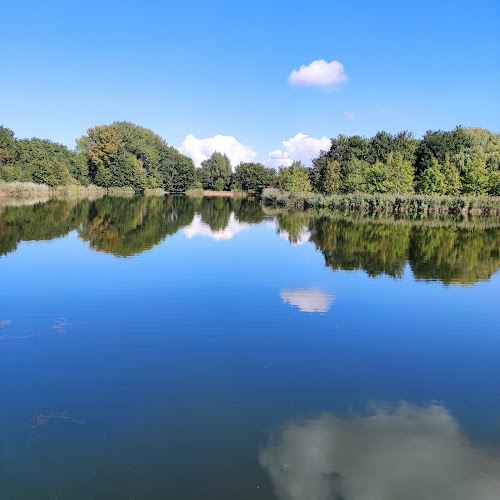 Comentarii opinii despre HarTeluk restaurant Natuurpark Lelystad